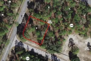 9735 N Calla Lily Way, Dunnellon, FL 34433 - Photo 1