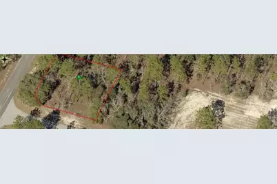 9735 N Calla Lily Way, Dunnellon, FL 34433 - Photo 3