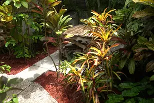 728 Poor House Ln, Key West, FL 33040 - Photo 67