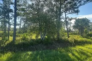 0 N Hwy 441, Okeechobee, FL 34972 - Photo 1