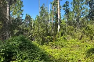 0 Hwy 630 E, Frostproof, FL 33843 - Photo 1