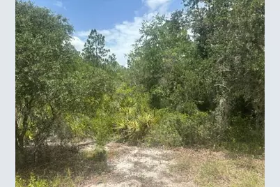 2225 W Wells Road, Avon Park, FL 33825 - Photo 5