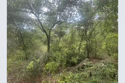 2225 W Wells Road, Avon Park, FL 33825 - Photo 3