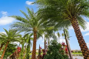 10768 Azul Ln, Parkland, FL 33076 - Photo 5