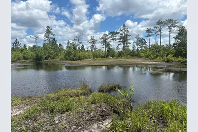 0 Holopaw Groves Road, Saint Cloud, FL 34772 - Photo 3