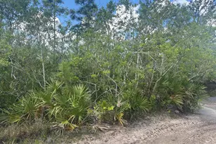 0 Holopaw Groves Rd, Saint Cloud, FL 34772 - Photo 1