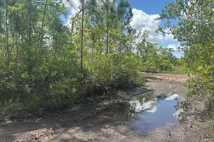 0 Holopaw Groves Rd, Saint Cloud, FL 34772 - Photo 1
