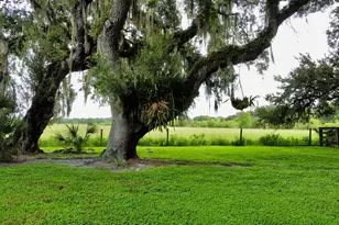 109 Natures Beauty Ln, Lorida, FL 33857 - Photo 75