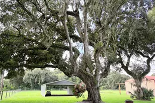 109 Natures Beauty Ln, Lorida, FL 33857 - Photo 43