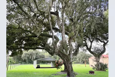 109 Natures Beauty Lane, Lorida, FL 33857 - Photo 43
