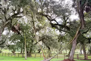 109 Natures Beauty Ln, Lorida, FL 33857 - Photo 45