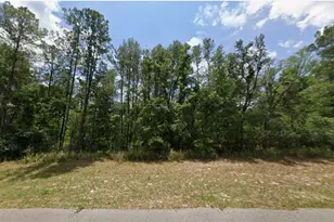 Tbd 128th Loop, Ocala, FL 34473 - Photo 1