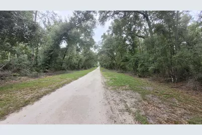 0 Piper Place, Live Oak, FL 32060 - Photo 13