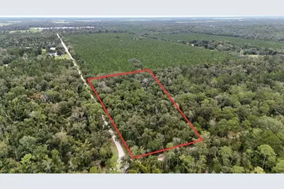 0 Piper Place, Live Oak, FL 32060 - Photo 5