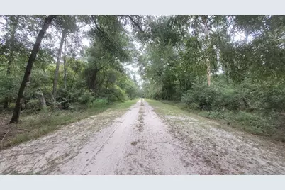 0 Piper Place, Live Oak, FL 32060 - Photo 7