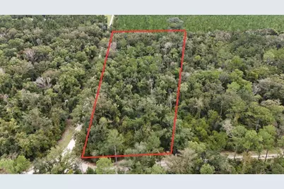 0 Piper Place, Live Oak, FL 32060 - Photo 19