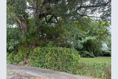 5814 Lincoln Street, Hollywood, FL 33021 - Photo 3