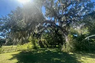 384 W Ariel Rd, Edgewater, FL 32141 - Photo 19
