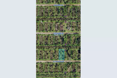 Tbd Allamanda Drive, Indian Lake Estates, FL  - Photo 3