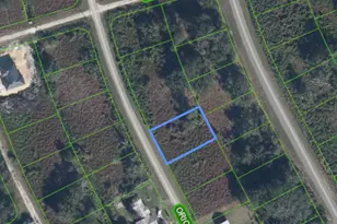 1027 Oriole St, Lake Placid, FL 33852 - Photo 1
