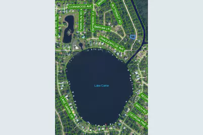 1108 Greenfield Street, Lake Placid, FL 33852 - Photo 3