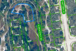 2411 N Monterey Rd, Avon Park, FL 33825 - Photo 1