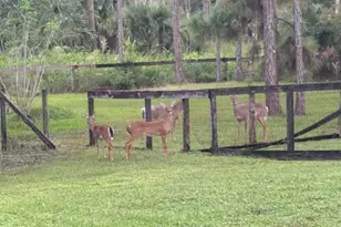5637 Cougars Prowl, Wellington, FL 33449 - Photo 1
