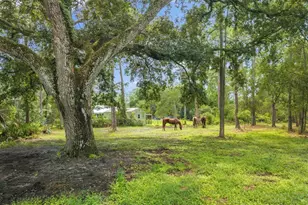 13351 NE 22nd Ave, Okeechobee, FL 34972 - Photo 5