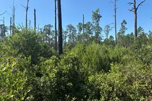 0 Hwy 630 E, Frostproof, FL 33843 - Photo 1