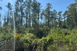 0 Hwy 630 E, Frostproof, FL 33843 - Photo 1