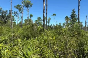 0 Hwy 630 E, Frostproof, FL 33843 - Photo 1