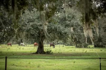 32801 US Highway 441 N #121, Okeechobee, FL 34972 - Photo 53