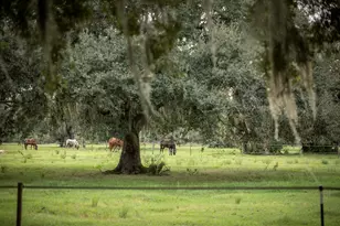 32801 US Highway 441 N, Okeechobee, FL 34972 - Photo 53
