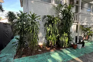 329 N K St, Lake Worth Beach, FL 33460 - Photo 7