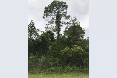 1126 Greenfield Street, Lake Placid, FL 33852 - Photo 3