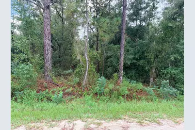 0 No Situs, Dunnellon, FL 34432 - Photo 5