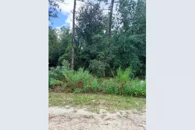 0 No Situs, Dunnellon, FL 34432 - Photo 3