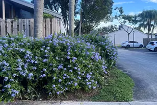 1737 NW 73rd Ave, Plantation, FL 33313 - Photo 5