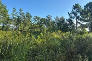 720 Parrot Ave, Sebring, FL 33872 - Photo 1