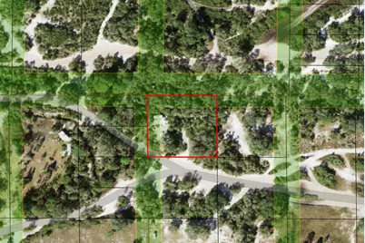 0 Holopaw Groves Road, Saint Cloud, FL 34772 - Photo 1