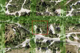 0 Holopaw Groves Rd, Saint Cloud, FL 34772 - Photo 1