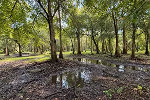 1042 Arbuckle Branch Rd, Sebring, FL 33870 - Photo 33