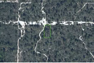 1437 Hyacinth Ave, Sebring, FL 33875 - Photo 1