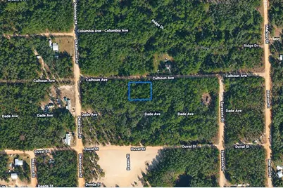 313 Calhoun Avenue, Florahome, FL 32140 - Photo 1