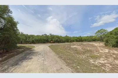 6371 N Coral Lily Drive, Dunnellon, FL 34434 - Photo 3
