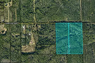 Tbd County Road 2006 E, Bunnell, FL 32110 - Photo 1