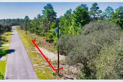 0 0, Dunnellon, FL  - Photo 5