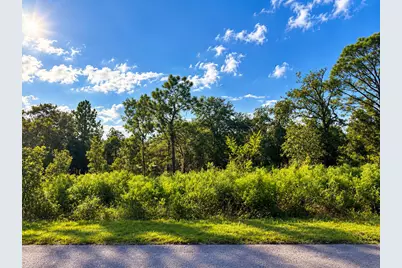 N/A SW Winding Hills Road, Dunnellon, FL 34431 - Photo 1