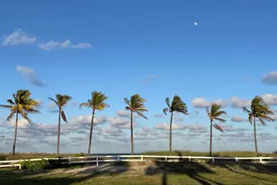 4629 Poinciana St, Lauderdale by the Sea, FL 33308 - Photo 29