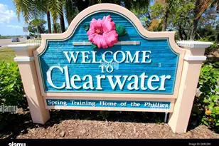 2348 Shelley St, Clearwater, FL 33765 - Photo 13